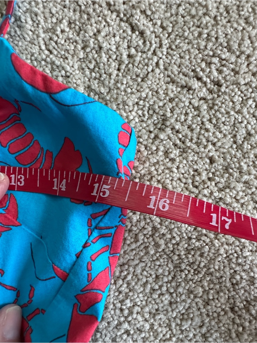 J. crew lobster print sun dress - Picture 9 of 14